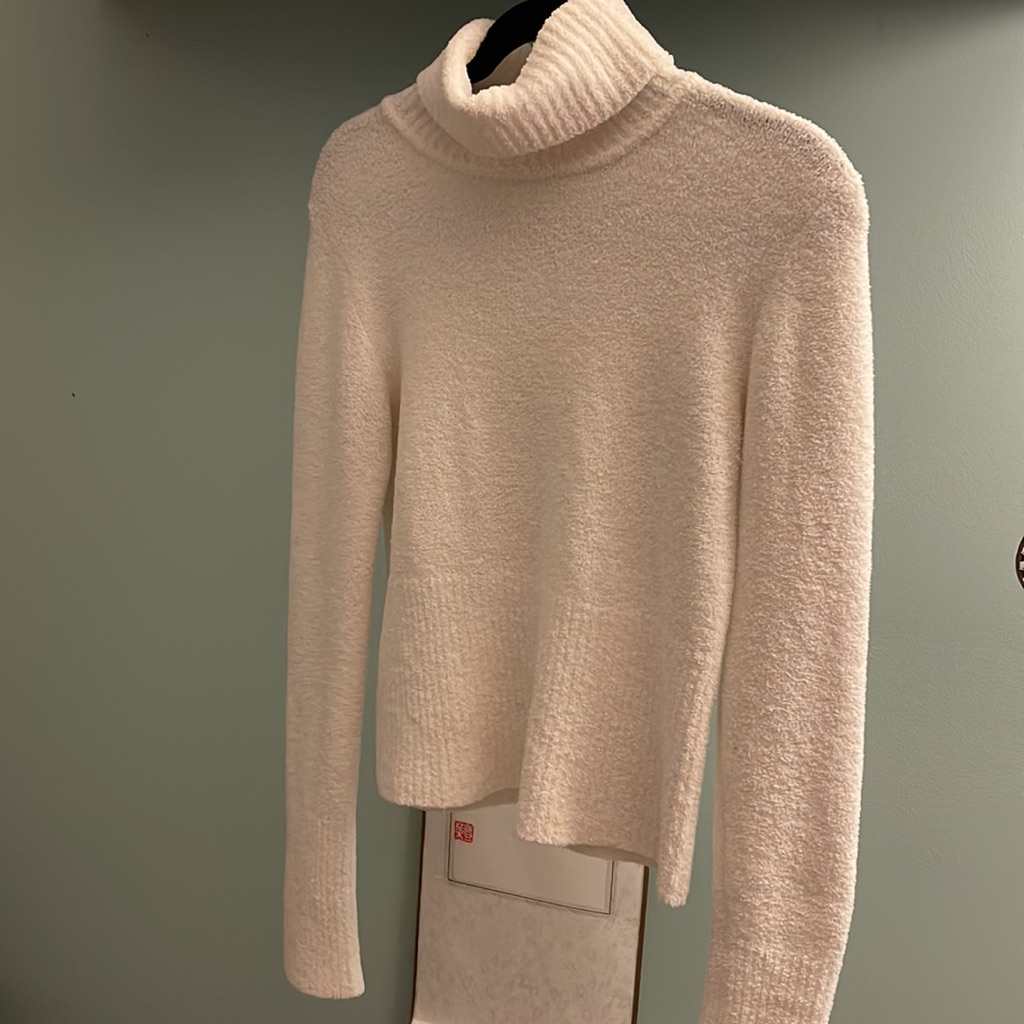 Super Soft Long Sleeve Cream Colored Turtleneck